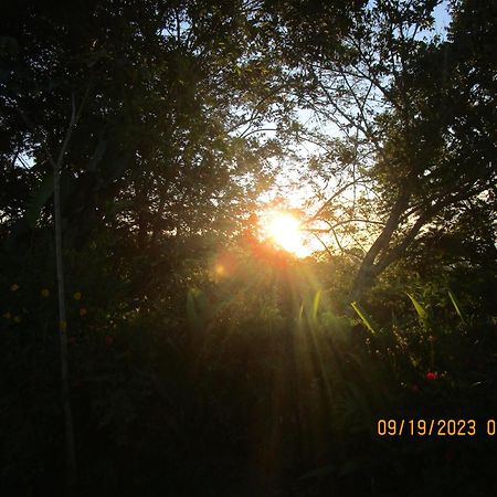 Casa Aquiares Lodge Posada Rural ตูร์เรียลบา ภายนอก รูปภาพ
