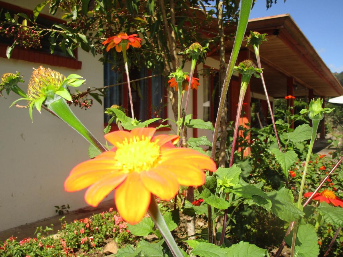 Casa Aquiares Lodge Posada Rural ตูร์เรียลบา ภายนอก รูปภาพ